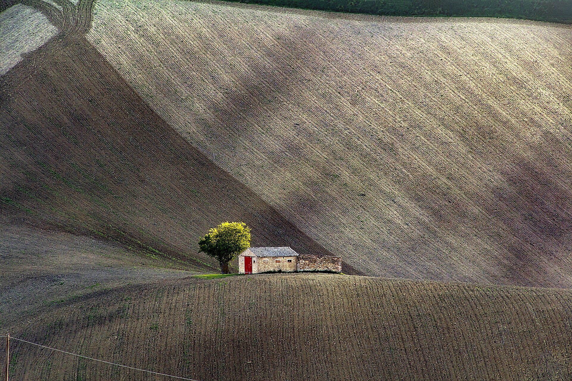 Colline arate della campagna maceratese con una piccola casa in pietra e un albero