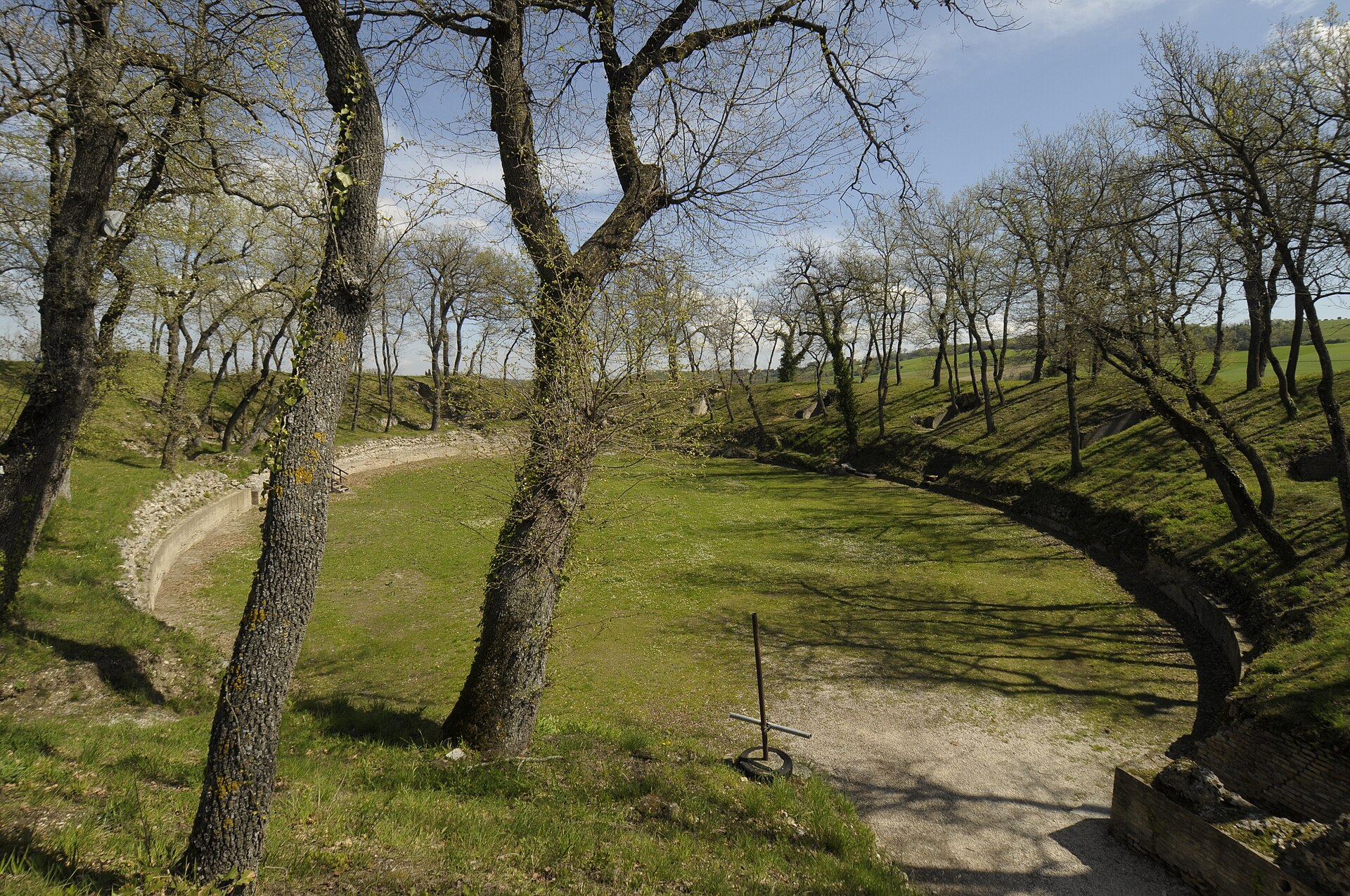 La conca erbosa dell'anfiteatro romano di Urbs Salvia circondata dagli alberi
