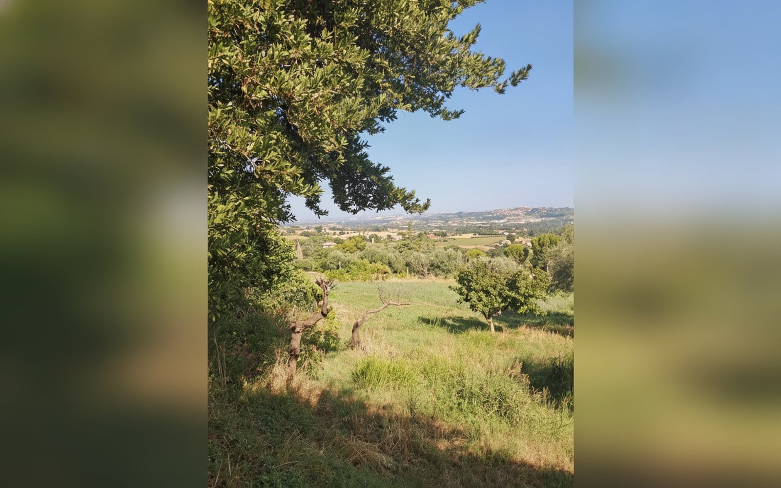 Fior di Loto Country & City — due alloggi a Macerata, campagna e centro, 